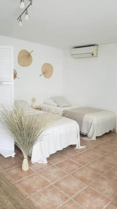 Appartement Maison Planier, Havre De Paix Proche Et Centre Sausset-les-Pins